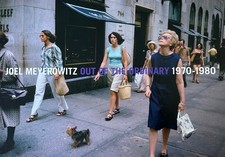 OUT OF THE ORDINARY 1970-1980 - Joel MEYEROWITZ