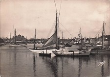 29 CONCARNEAU THONIERS AU PORT