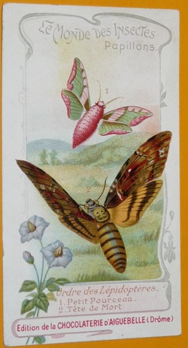 Chromo 1910 1930 - chromo, 1910-1930