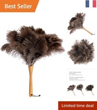 Plumeau Artisanale en Plumes