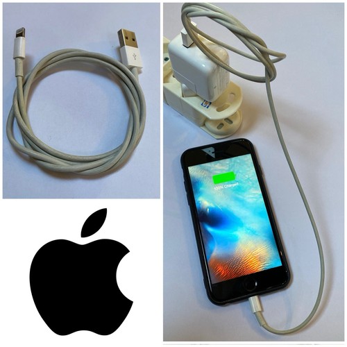 Câble original apple - câble,