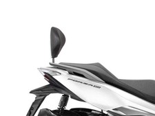 HONDA 125 FORZA -15/26- 300