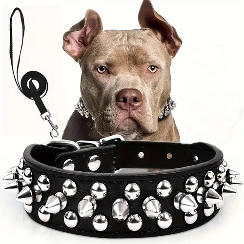 Ensemble collier laisse - collier,