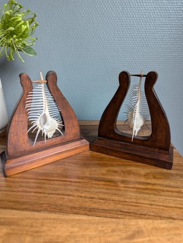 Fin couple coquillages - fin,