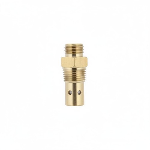 Clapet anti retour - clapet, vertical