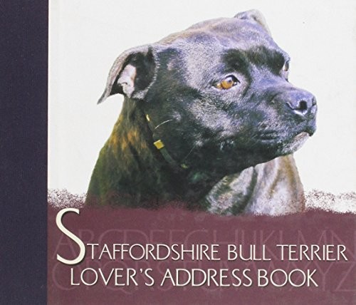 The staffordshire bull terrier - bull,