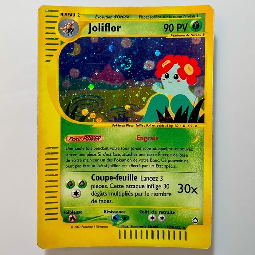 Joliflor holo h32 - -,