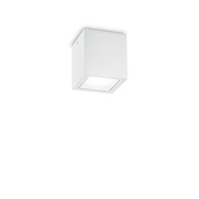 Plafonnier Luminaire Extérieur Moderne Design Blanc Jardin Véranda DL1649