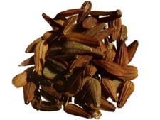 Valériane Officinal NT - Valeriana Officinalis - Valerian - SEM21