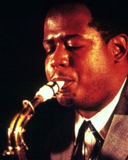 Forêt Whitaker [1001410] 8x10 Photo (Autres Tailles Disponibles)