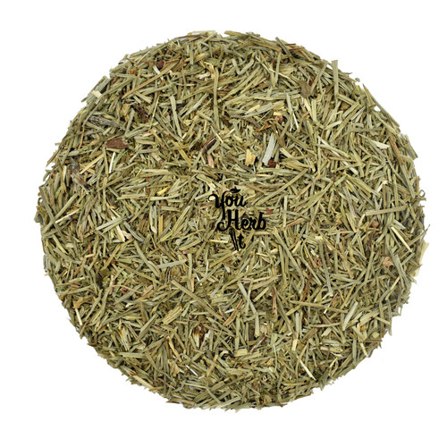 Prêle feuilles coupées - prêle,