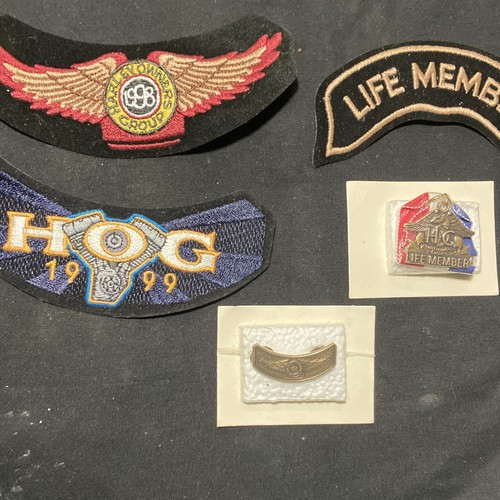 Harley davidson owners - harley-davidson,