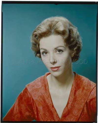 Dana wynter fräulein 1958 - wynter,