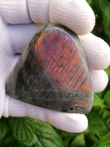 Spectrolite polie - , –