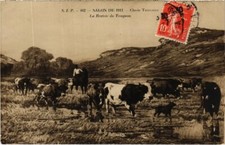 CPA AK La Rentree du Troupeau