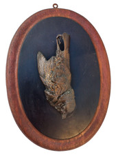 Sculpture bronze oiseau médaillon bois XIXème siecle trophée chasse bronze bird