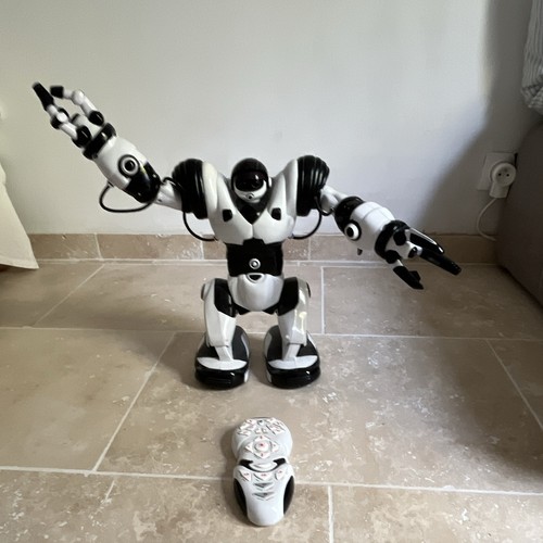 Robot humanoïde