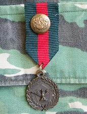 médaille broche insigne militaire fantaisie / accessoire mode pins medal ribbon
