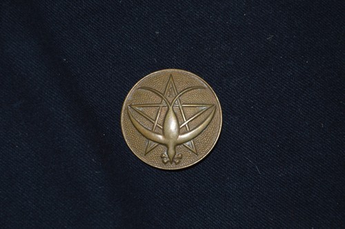 Insigne regiment de - 1°,