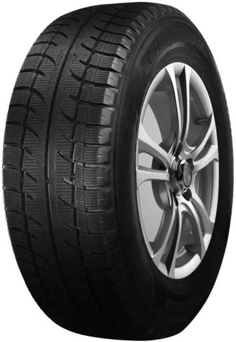 Pneus hiver 225 - d'hiver, r16c