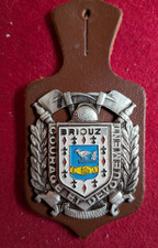 insigne de pompiers,pucelle,Sapeurs pompiers de Briouze (40i)