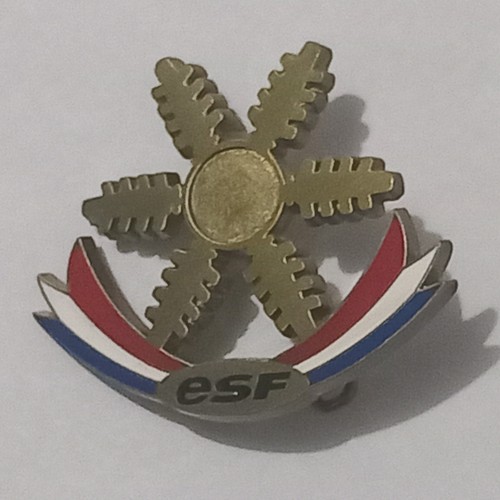 Insigne broche médaille - insigne,