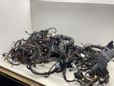 Faisceau de câblage complet