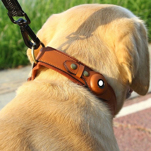 Dog leather pet collar with - pet,