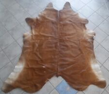 Beau Grand Tapis En Peau De