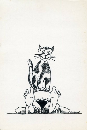 Postcard carte postale chat - postcard,