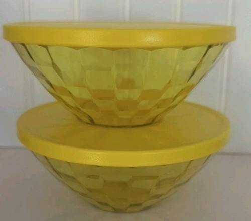 Tupperware acrylic yellow - acrylic,