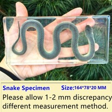 Presse-Papier Animal En