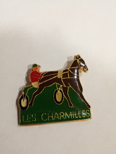 Pin cheval course - cheval, hippique