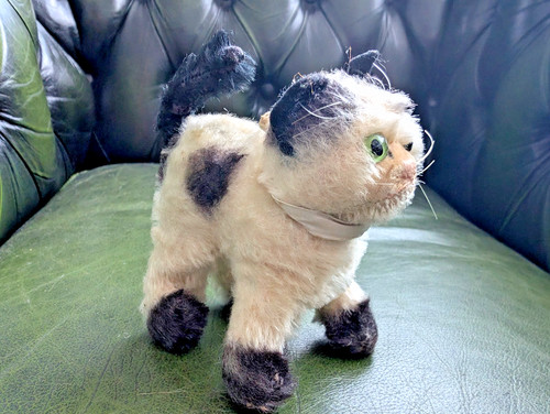 Steiff chat gussy vintage - chat,