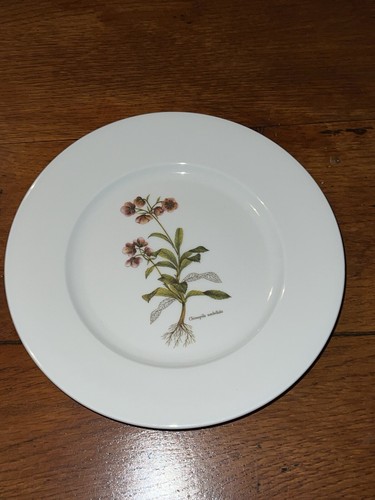 Rare assiette ancienne - rare, de