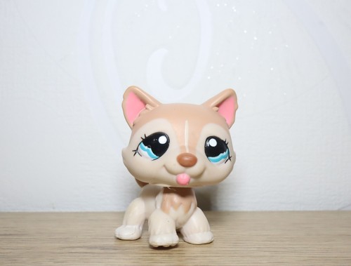 Littlest petshop husky 1012 - littlest,