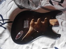 Stratocaster Ash Body - SSS