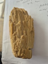 BOIS FOSSILISÉ  JAUNE ORANGÉ.  POIDS 330 GRAMMES