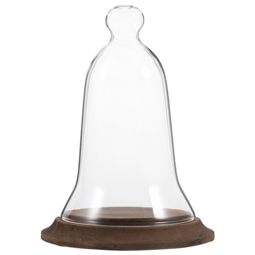 Vitrine verre dome - en,