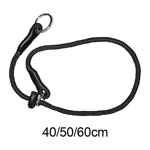 Collier dressage pour chien - de,