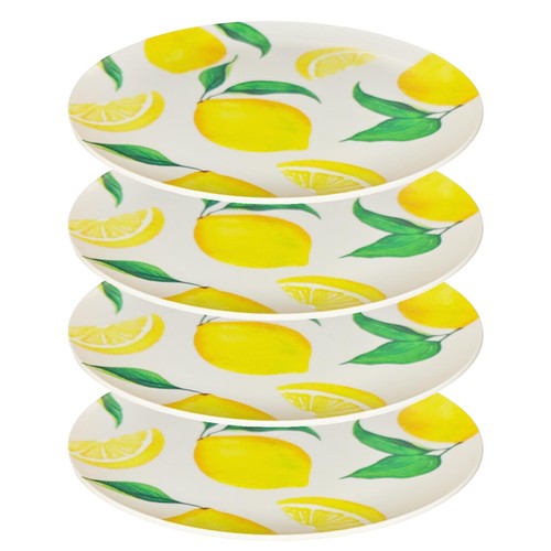 Assiettes réutilisables - assiettes, en