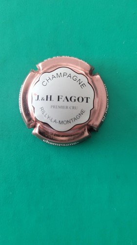 Muselet capsule de champagne - capsule,