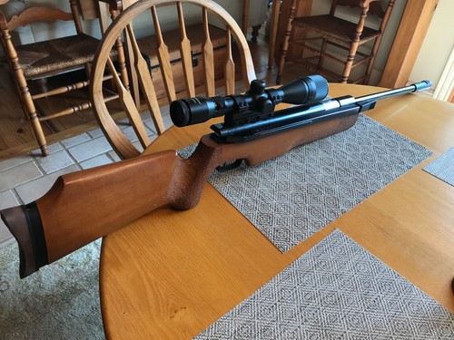 Daisy model 126 super - 126, match