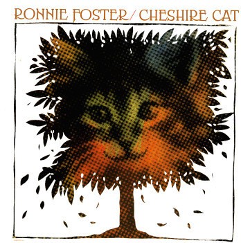 Vinyle ronnie foster - ronnie,