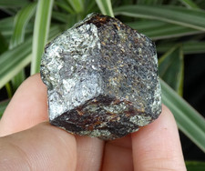 Grenat Almandin Granatenkogel 3.5x3cm Tyrol Autriche minéral collection rouge
