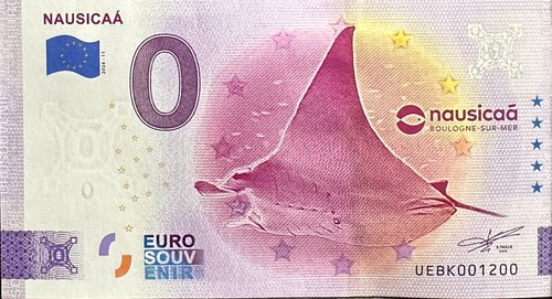 Billet euro nausicaa - billet,