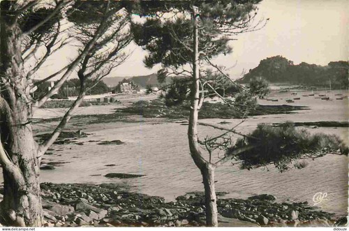 Carte postale - carte, -22
