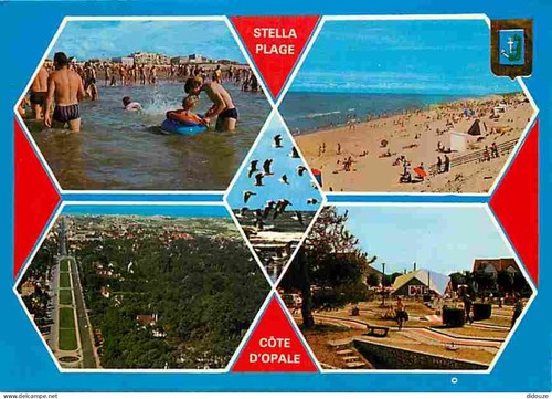 Carte postale stella - carte,