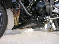 Sabot Moteur Ermax TRIUMPH