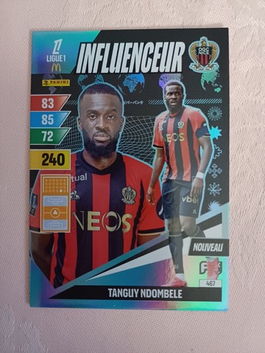 Panini adrenalyn ligue1 - panini,